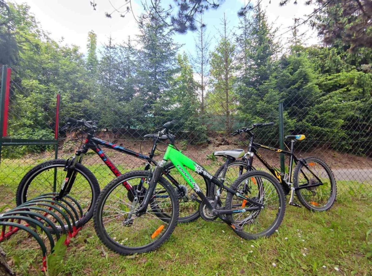 Penzion Roal Pieniny Hotell Spisska Stara Ves Exteriör bild