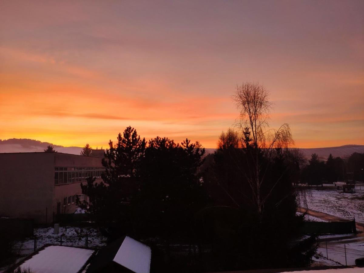 Penzion Roal Pieniny Hotell Spisska Stara Ves Exteriör bild