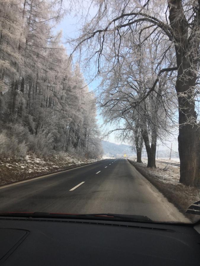 Penzion Roal Pieniny Hotell Spisska Stara Ves Exteriör bild