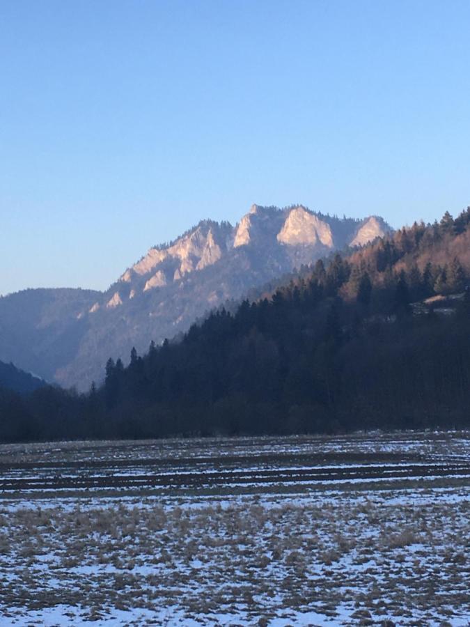 Penzion Roal Pieniny Hotell Spisska Stara Ves Exteriör bild