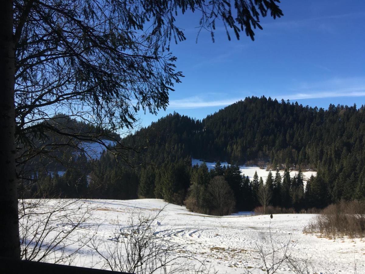 Penzion Roal Pieniny Hotell Spisska Stara Ves Exteriör bild