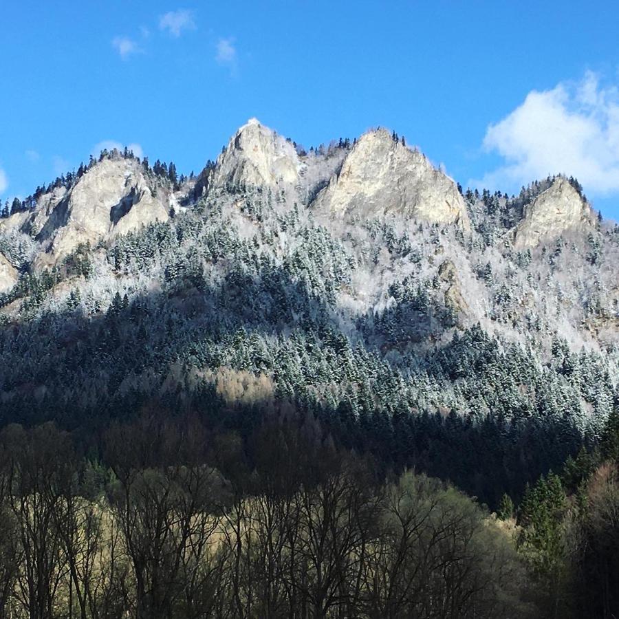 Penzion Roal Pieniny Hotell Spisska Stara Ves Exteriör bild